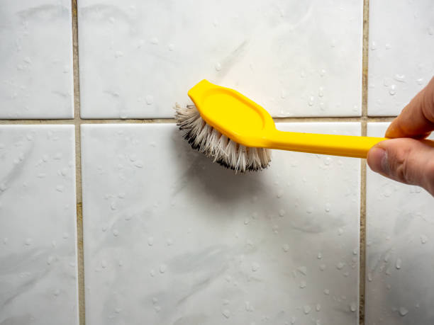 Best Industrial Mold Remediation in Wlowbrook, IL