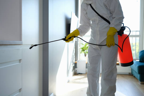 Best DIY Mold Remediation Support Services in Wlowbrook, IL